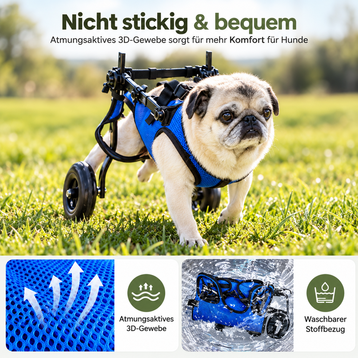 Passo – Hunderollstuhl für kleine Hunde & Katzen