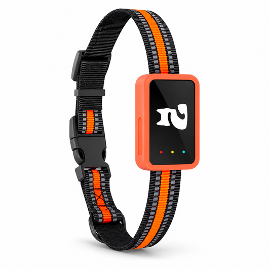 Orvia 4G GPS-Tracker für Hunde und Katzen