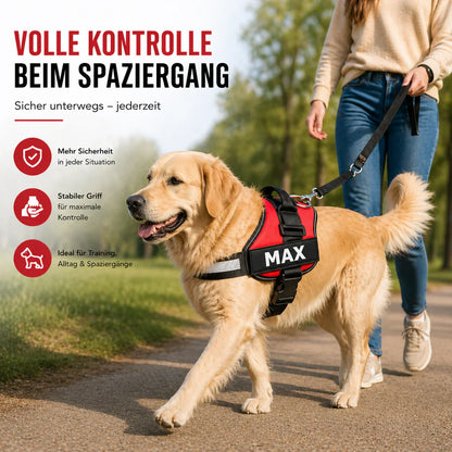 Veloce Geschirr Namens-Patch Detailansicht