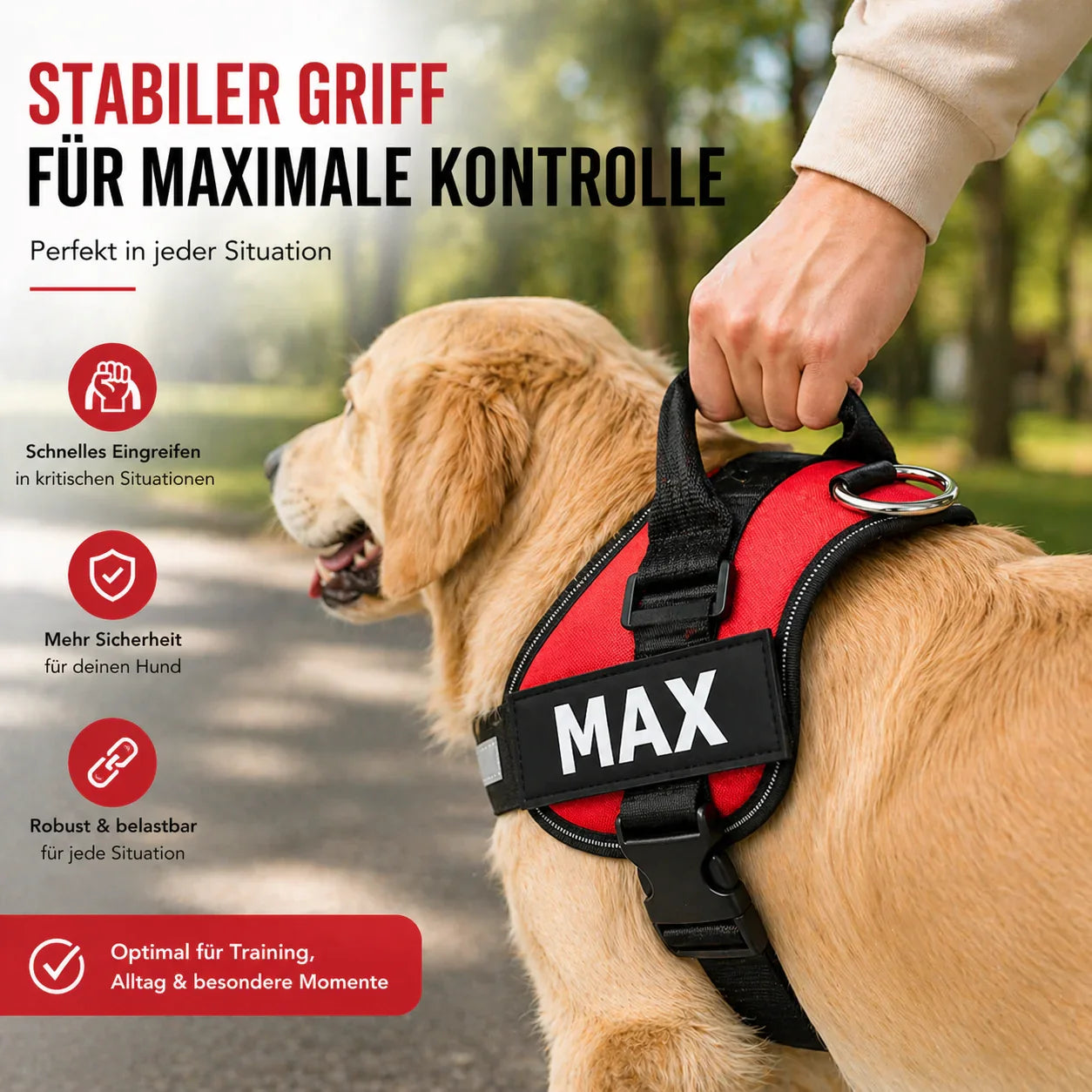 Veloce Geschirr angelegt am Hund