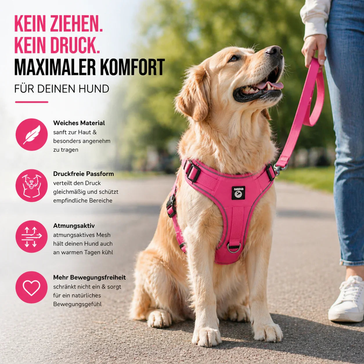 Elyra Hundegeschirr Sicherheitsgriff Detailansicht