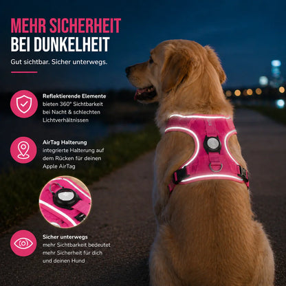 Elyra Anti-Zug Befestigungspunkte vorne und hinten