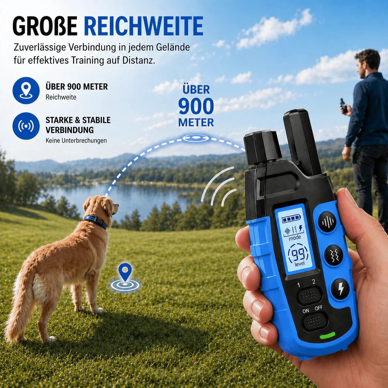 Alpha Trainingshalsband am Hund angelegt