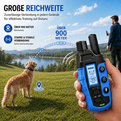 Alpha Trainingshalsband am Hund angelegt