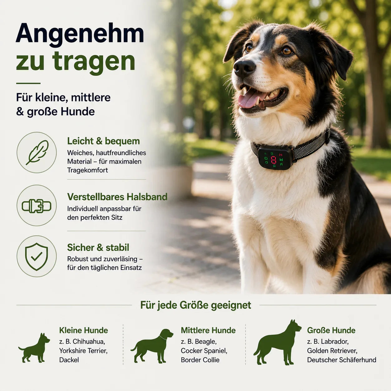 Silenta Halsband Größen S M L Hunde
