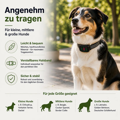 Silenta Halsband Größen S M L Hunde