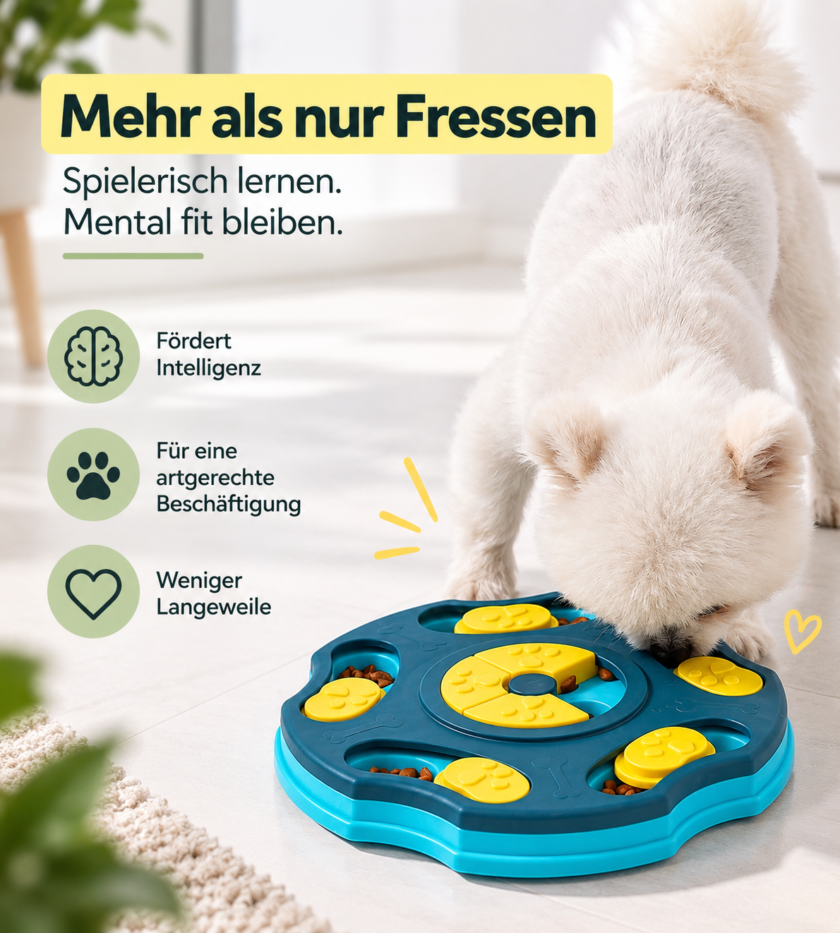 Hund sucht Leckerlis im Findo Schnüffel-Puzzle