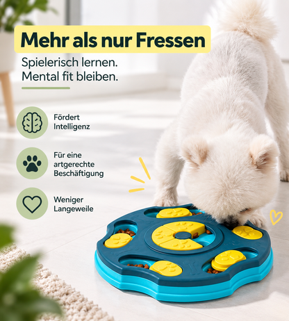 Hund sucht Leckerlis im Findo Schnüffel-Puzzle