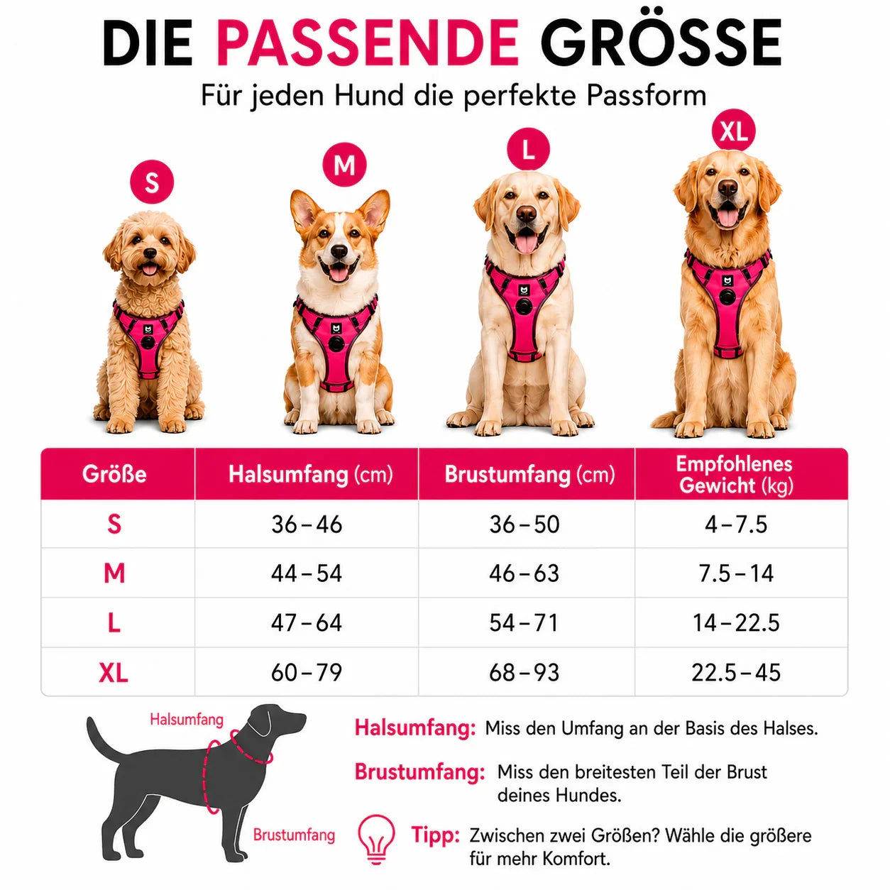 Elyra Anti-Zug Hundegeschirr – Produktdarstellung 1