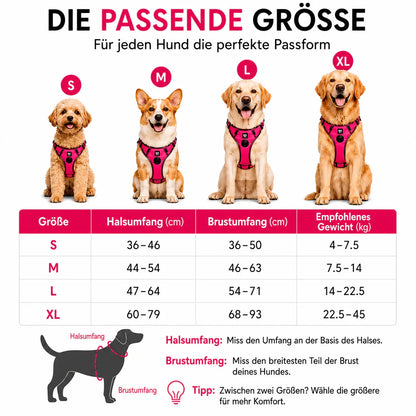 Elyra Anti-Zug Hundegeschirr – Produktdarstellung 1