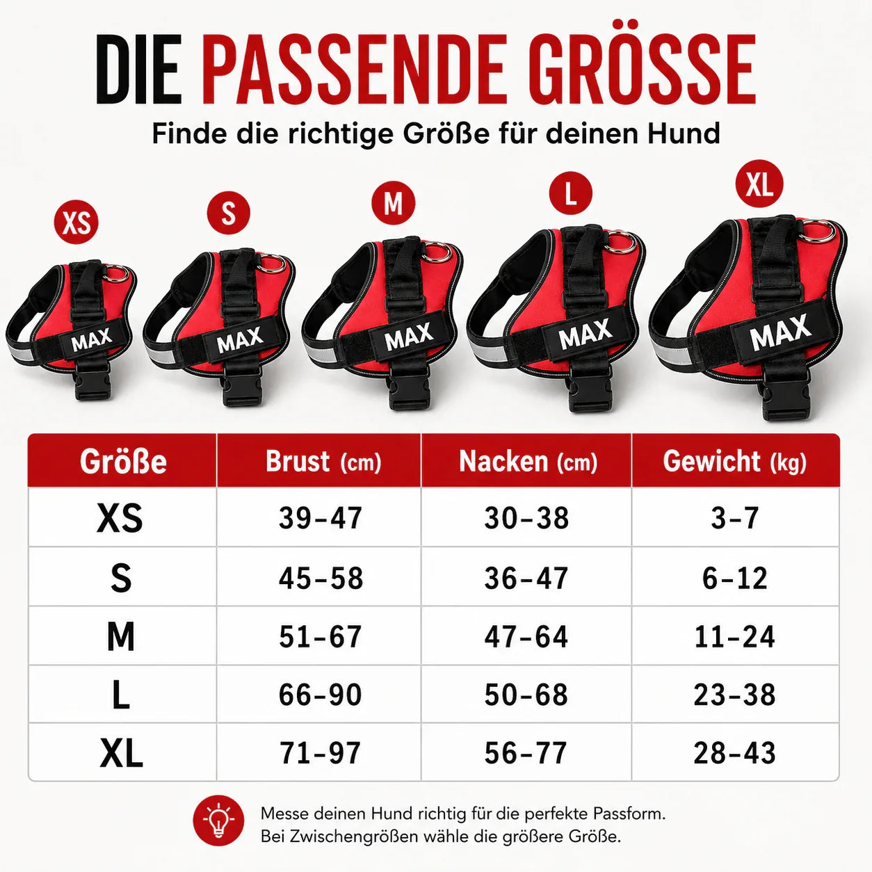Veloce Hundegeschirr mit Namens-Patch – Produktdarstellung