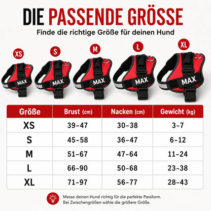 Veloce Hundegeschirr mit Namens-Patch – Produktdarstellung