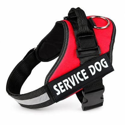 Veloce Hundegeschirr mit persönlichem Namens-Patch