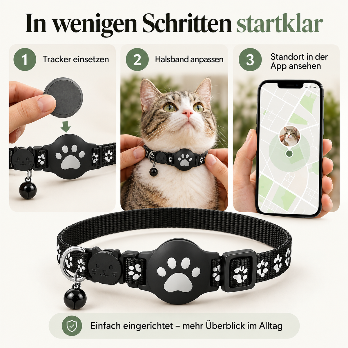 Neko Tracker-Halsband in drei Schritten einrichten