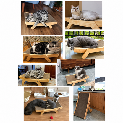 Katzen auf Nesta Kratzbrettern aus Holz