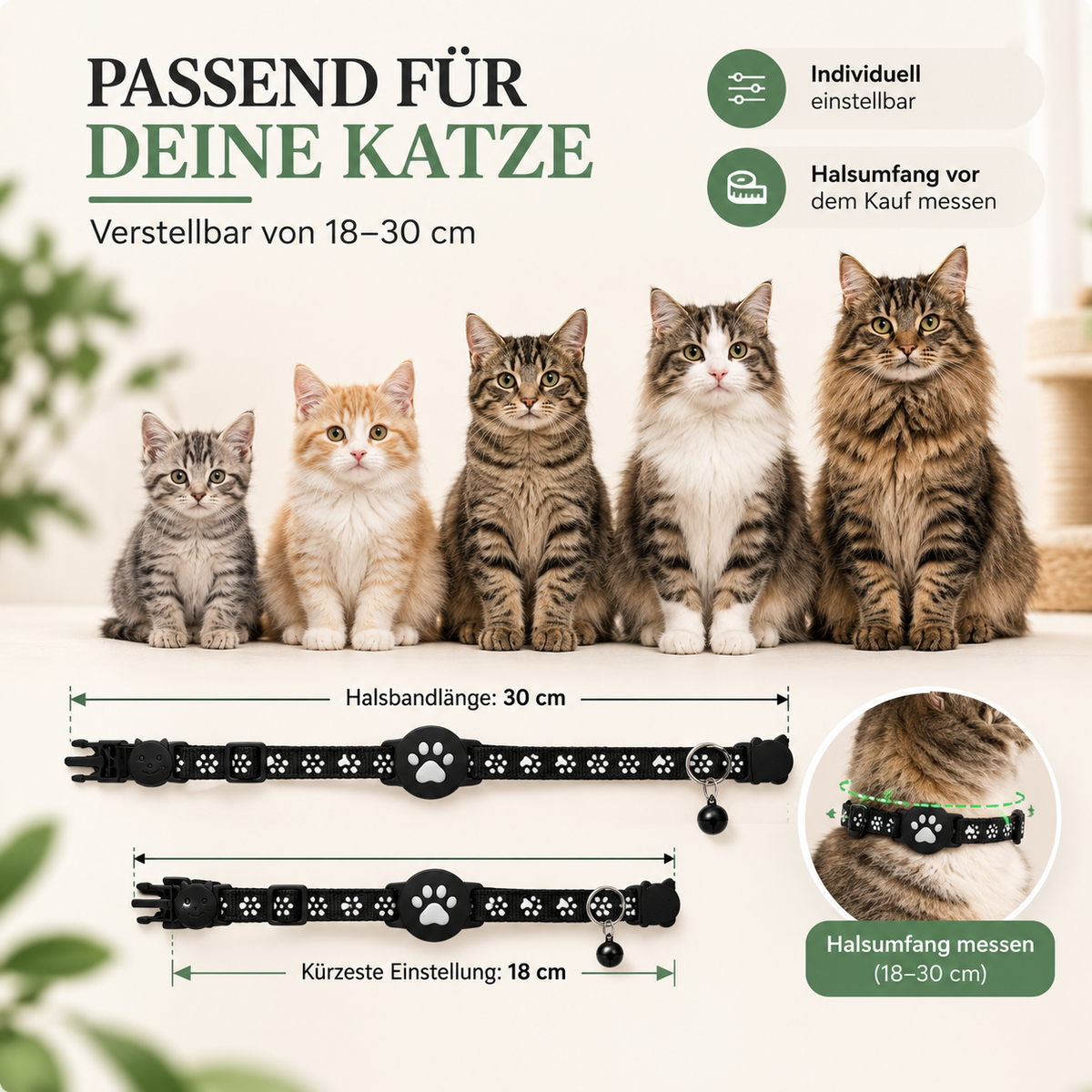 Neko Katzenhalsband: Größe und Passform