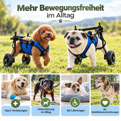 Passo – Hunderollstuhl für kleine Hunde & Katzen