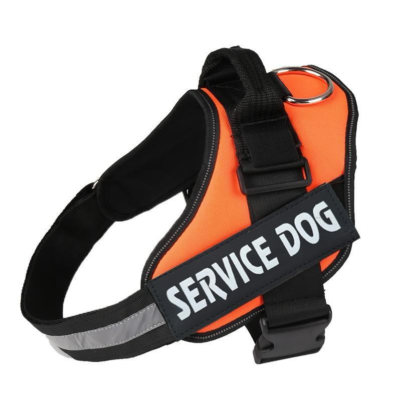 Veloce Hundegeschirr mit Namens-Patch – Produktfoto 4