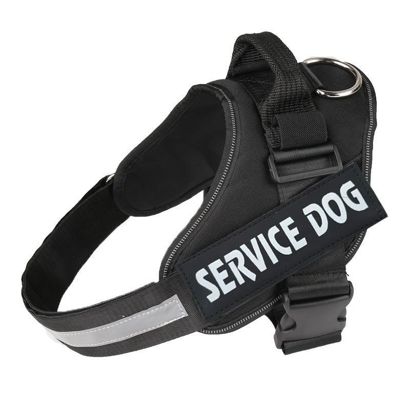 Veloce Hundegeschirr mit Namens-Patch – Produktfoto 2
