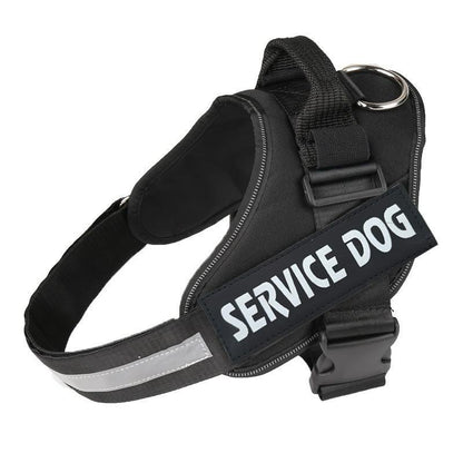 Veloce Hundegeschirr mit Namens-Patch – Produktfoto 2