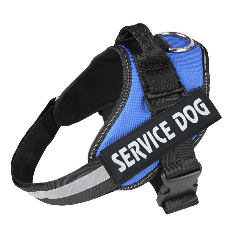Veloce Hundegeschirr mit Namens-Patch – Produktfoto 1