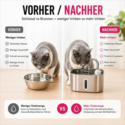 LUVIA Trinkbrunnen Hund und Katze gemeinsam