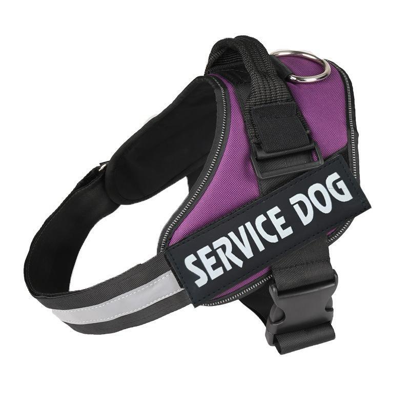 Veloce Hundegeschirr mit Namens-Patch – Produktfoto 3