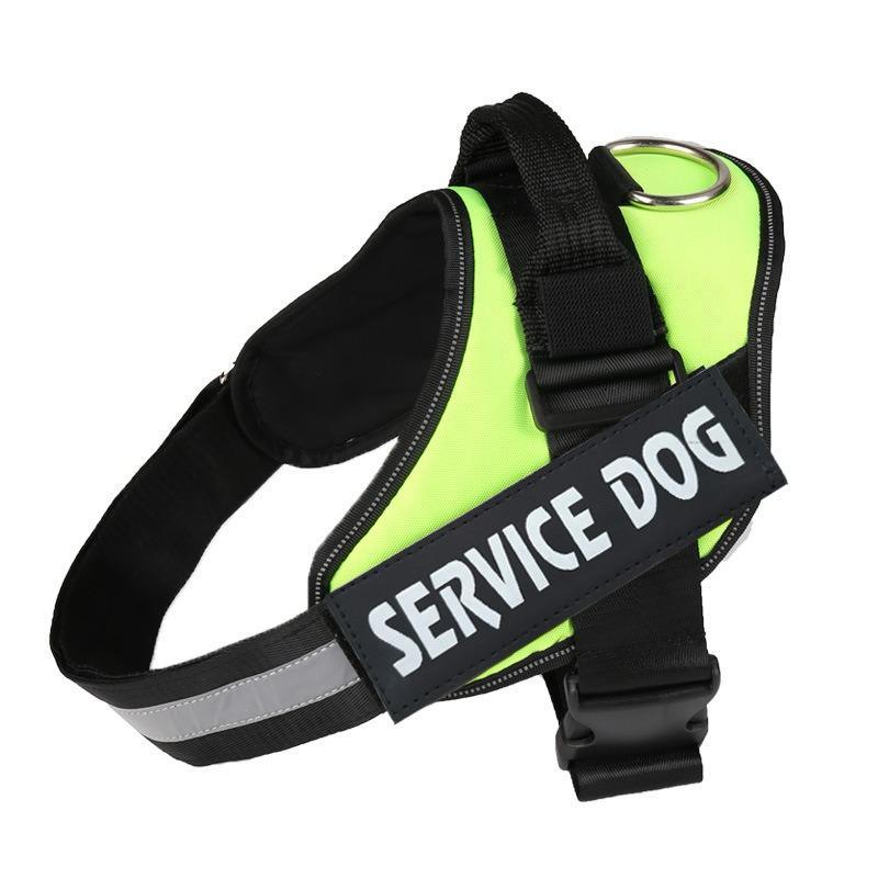 Veloce Hundegeschirr mit Namens-Patch – Produktfoto 5