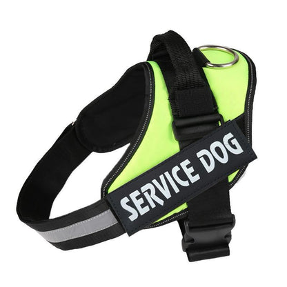 Veloce Hundegeschirr mit Namens-Patch – Produktfoto 5